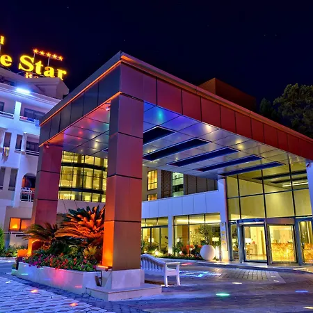 Star シダ