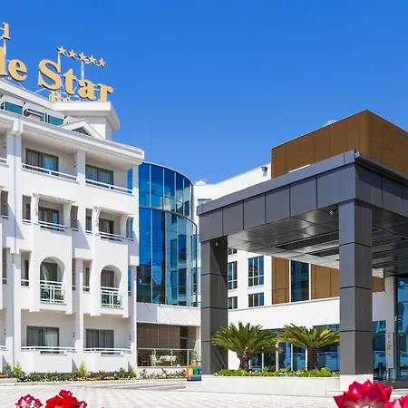 Star 5* シダ