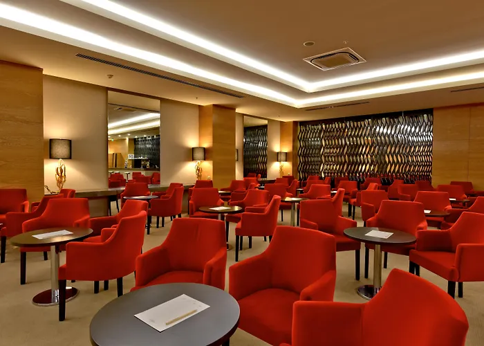 リゾート Star シダ